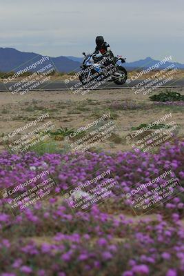 media/Jan-14-2023-SoCal Trackdays (Sat) [[497694156f]]/Turn 14 Exit Bloomig (145pm)/